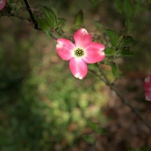 Meet your Posher, Marisol